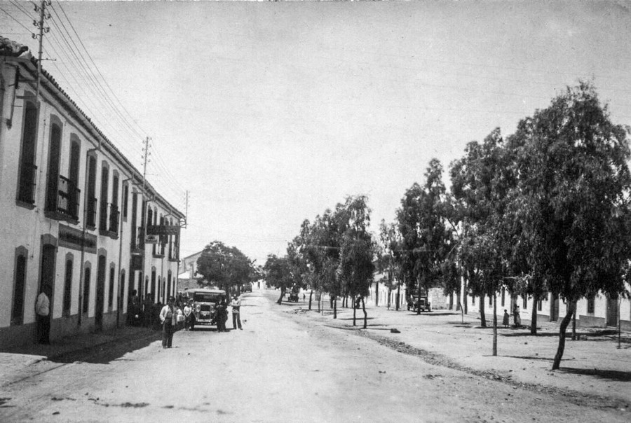 Avda Vva Cordoba1